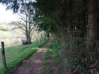 Tocht Mountainbike Sérilhac - LA BELLE RANDONNEE DE SERILHAC  - Photo