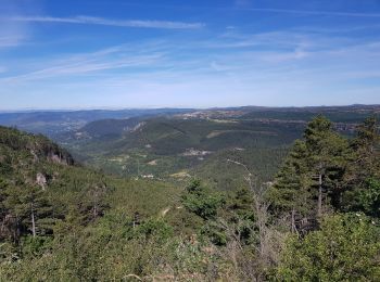 Excursión Marcha nórdica Saint-Pierre-de-la-Fage - SityTrail - St-Pierre de la Fage - Pas de Cabane - Roqueboude - Photo