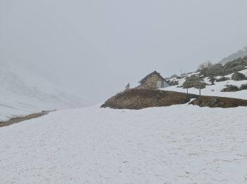 Randonnée Raquettes à neige Aragnouet - Piau-Engaly: Le Col, Neste de Badet (Brouillard) - Photo