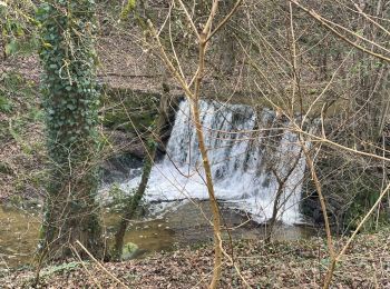 Tocht Stappen Chabanière - Les 3 cascades  - Photo