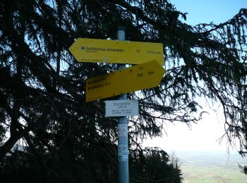 Trail On foot Fischbachau - Steingrabner - Alm - Wirtsalm - Bad Feilnbach - Photo