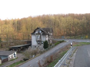 Randonnée A pied Habichtswald - Dörnberg, Rundweg 1 - Photo