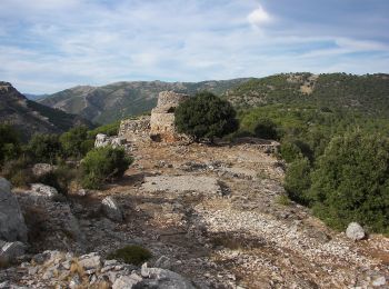 Tocht Te voet Gàiru/Gairo - (SI Z21)  Taquisara – Sant’Antonio di Jerzu - Photo