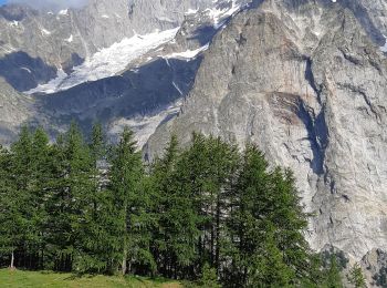Tocht Stappen Courmayeur - étape monte Bianco mottets - Photo