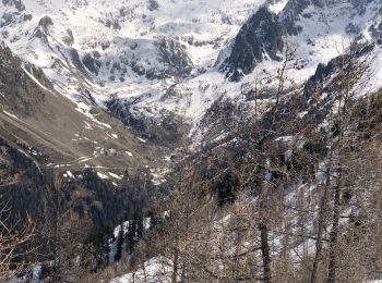 Tour Schneeschuhwandern Belvédère - Baisse de Ferisson - Photo
