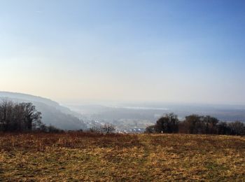 Tocht Te voet Bruchsal - Bruchsaler Kreuzweg und Grund - Photo