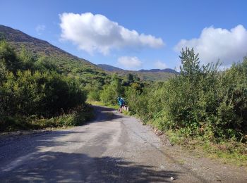 Randonnée Marche West Cork - dag Ierland  - Photo