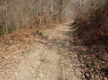 Trail Walking Lanne - promenade Oslo  - Photo