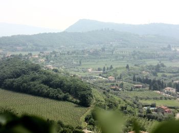 Percorso A piedi Bardolino - Garda - Dacia - Eremo dei Camaldolesi - Rocca Vecchia - Photo