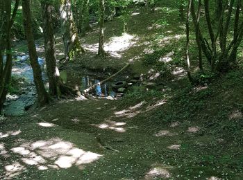 Tour Wandern Lentilly - Lentilly - le Poteau - Lévy 18/05/20 - Photo