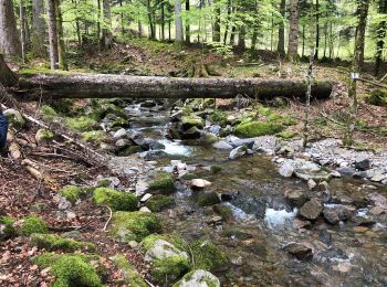 Trail Walking Sondernach - Schnepfenried - Hahnenbrunen - Mittlach  - Photo