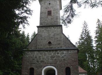 Excursión A pie Vorderweißenbach - Kleine Waldkapellenrunde - Photo