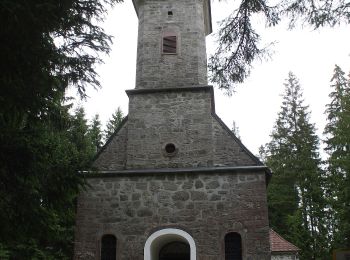 Tocht Te voet Vorderweißenbach - Kleine Waldkapellenrunde - Photo