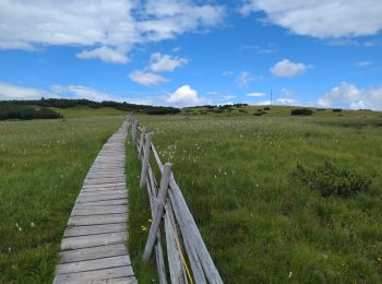 Trail Walking Villanders - Villandro - Villanderer Alm - Stöfflhütte et prairies marécageuses - Photo