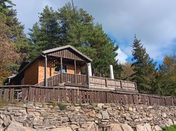 Randonnée Marche L'Albère - ullat - san-cristau / retour par la piste  - Photo