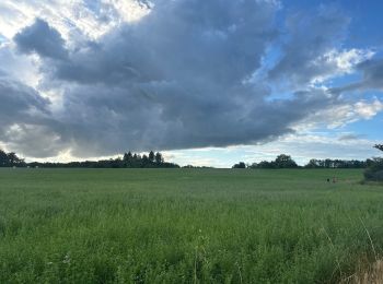 Randonnée Marche Colombe-lès-Vesoul - Colombe-damplavey-thumulus-colombe - Photo