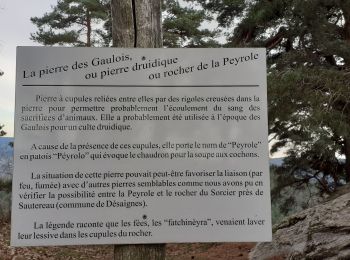 Tour Wandern Labatie-d'Andaure - Le rocher de Peyrolle Labatie d Andaure - Photo