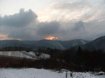 Percorso A piedi Hohenwarte - Rundwanderung Preßwitzer Spitze-Alter Bucht-Bucha - Photo