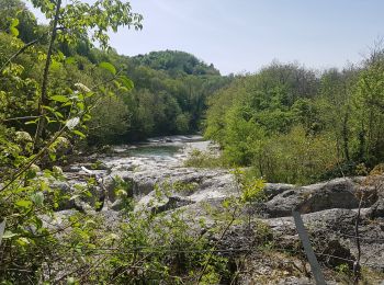 Trail Walking Lovagny - gorges du Fier - Photo