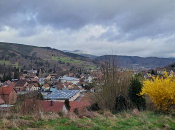 Randonnée Marche Rothau - Rothau - Photo