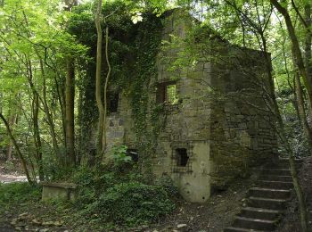 Randonnée A pied Liège - Parc de la Chartreuse à Liège - Photo