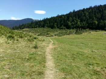 Percorso A piedi Bagnères-de-Bigorre - ARTIGUES à  PAYOLLE g4 fait 