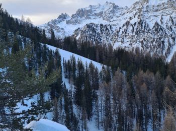 Excursión Esquí de fondo Ceillac - col albert tête de rissace - Photo