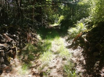 Trail Walking Pontgibaud - Pontgibaud. Peschadoire  - Photo