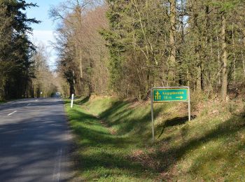 Randonnée A pied Aukrug - Ochsenschleichweg - Photo