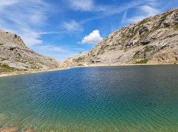 Percorso Marcia Villard-de-Lans - lac de Moucherolle par les liapaz  - Photo