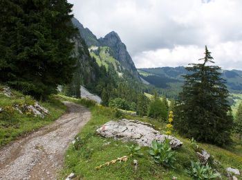 Tocht Te voet Schwyz - Mythenweg - fixme - Photo