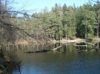 Percorso A piedi Flörsbachtal - Spessartspuren - Wiesbüttmoor und Flörsbacher Panorama - Photo