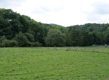 Randonnée A pied Heimbach - Heimbacher Burgen - Photo