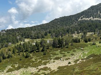 Randonnée sport Taurinya - Canigou par la « cheminée » - Photo