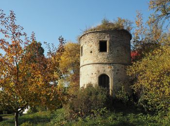 Excursión A pie Sachsenheim - DE-SAV Rotes Kreuz, von - nach? - Photo