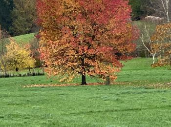 Tour Wandern Chaumont-Gistoux - Bois de Dion  - Photo