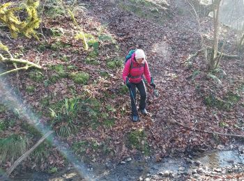 Trail Walking Salies-de-Béarn - salies de béarn G4  - Photo