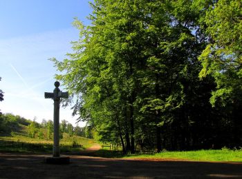 Excursión Senderismo Saint-Crépin-aux-Bois - en forêt de Laigue_11_06_2021_Quennezil_les Croisettes_les Ponteaux - Photo