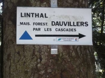 Trail Walking Linthal - Dauviller - Markstein (25/08/2022) - Photo