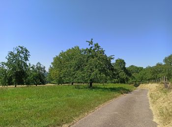 Trail Walking Fougerolles-Saint-Valbert - 24-06-23 marche fête des cerises - Photo