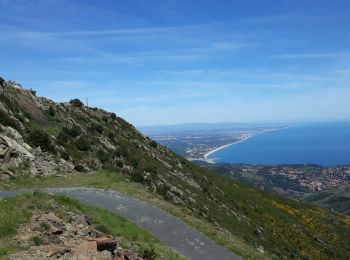 Randonnée Marche Collioure - Tour de Madaloc - Photo