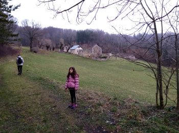 Tocht Stappen Presles - Belvédère du ranc ( par la siva) - Photo