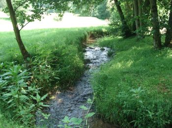 Tocht Te voet Großheubach - Ortswanderweg Großheubach G3 - Photo