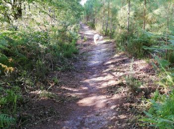 Trail Walking Rion-des-Landes - 80 8 2021  - Photo