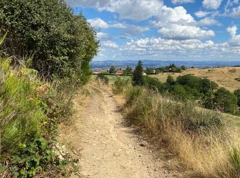 Trail Walking Cherier - Le point du jour - Photo