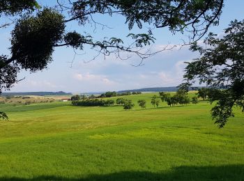 Trail Walking Bech - Mullerthal extra tour C - Photo