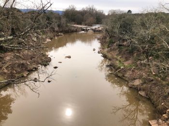 Tocht Stappen Vidauban -  Vidauban - Photo