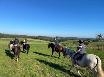 Trail Horseback riding Fauvillers - La Strange x - Photo