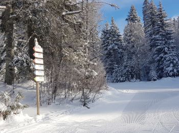 Trail Cross-country skiing Mijoux - Les louvatieres en coupant par le passage des dames - Photo