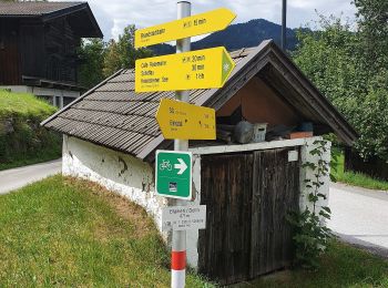 Tocht Te voet Gemeinde Scheffau am Wilden Kaiser - Blaikenrunde - Photo